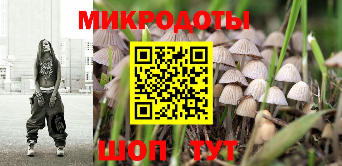 Галлюциногенные грибы Psilocybe Фролово