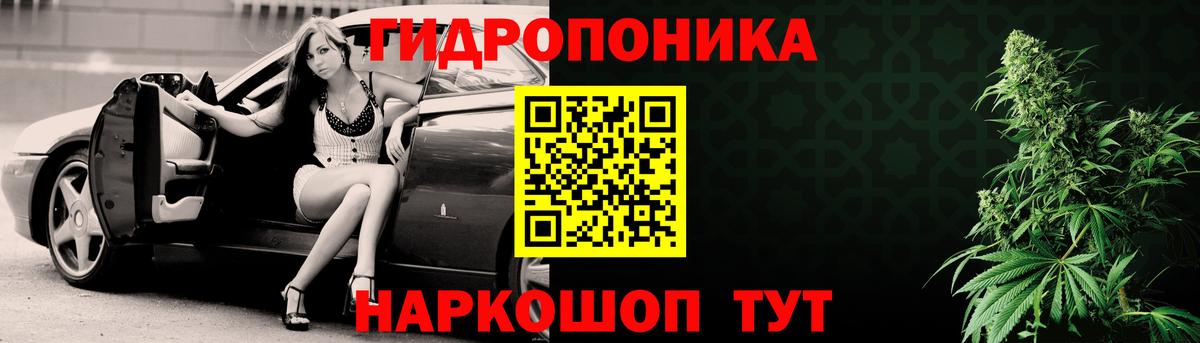 Канабис планчик Фролово